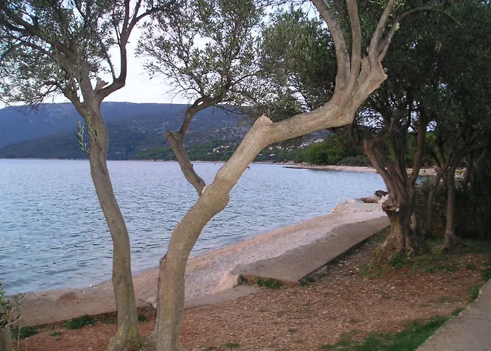 Vitkovic Ii Daire Cres