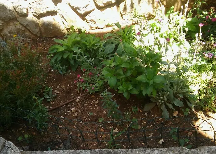 Vitkovic Ii Daire Cres
