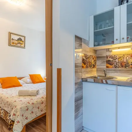 Apartament Vitkovic Ii *