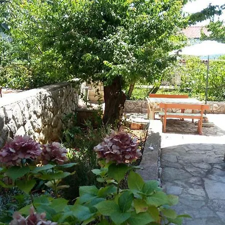 Vitkovic Ii Apartament