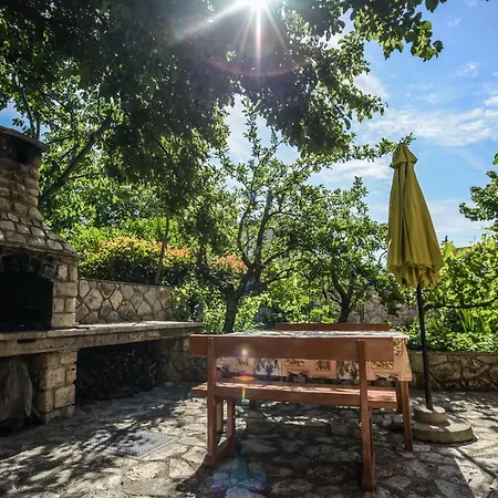 Apartment Vitkovic Ii *