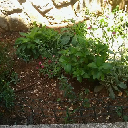 Vitkovic Ii Apartament Cres